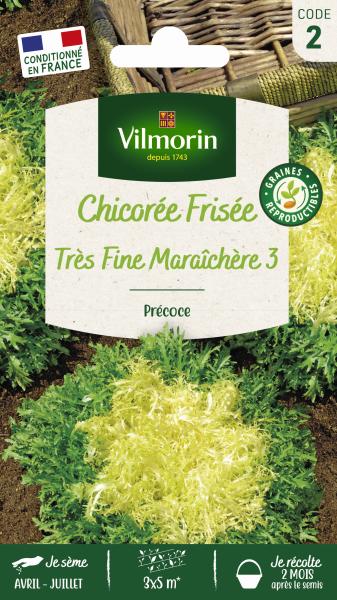 Potagères - Chicorée Frisée Très Fine Maraîchère 3 - PACKAGING_RECTO